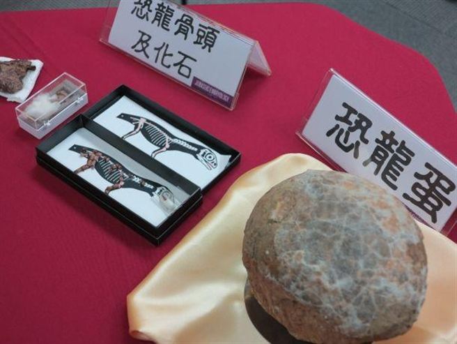 最古老恐龍化石 台灣團隊發現胚胎