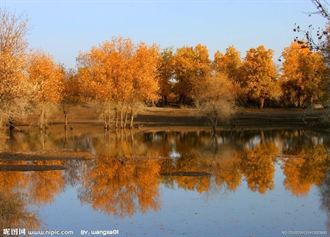 新疆澤普金湖楊景區獲批國家5A級景區