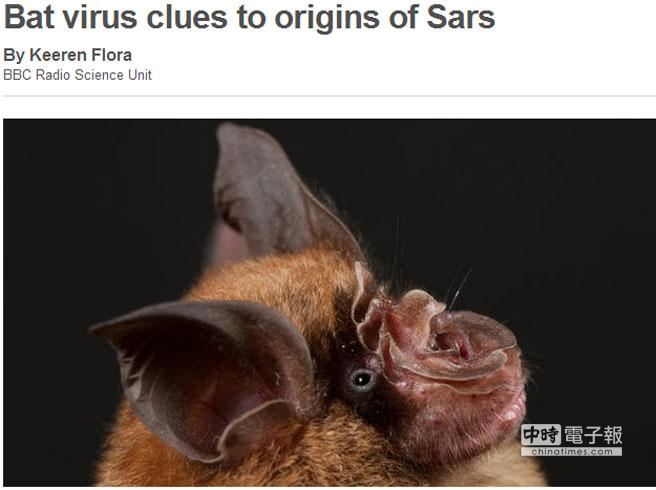 澳洲最新研究認為，SARS病毒應是起源於蝙蝠。(取自BBC網頁)