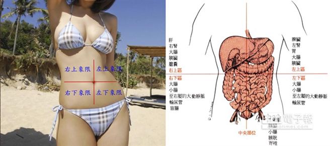 王珏瑋製作的教學投影片說明腹部器官位置與四象限比對圖。（王珏瑋提供）
