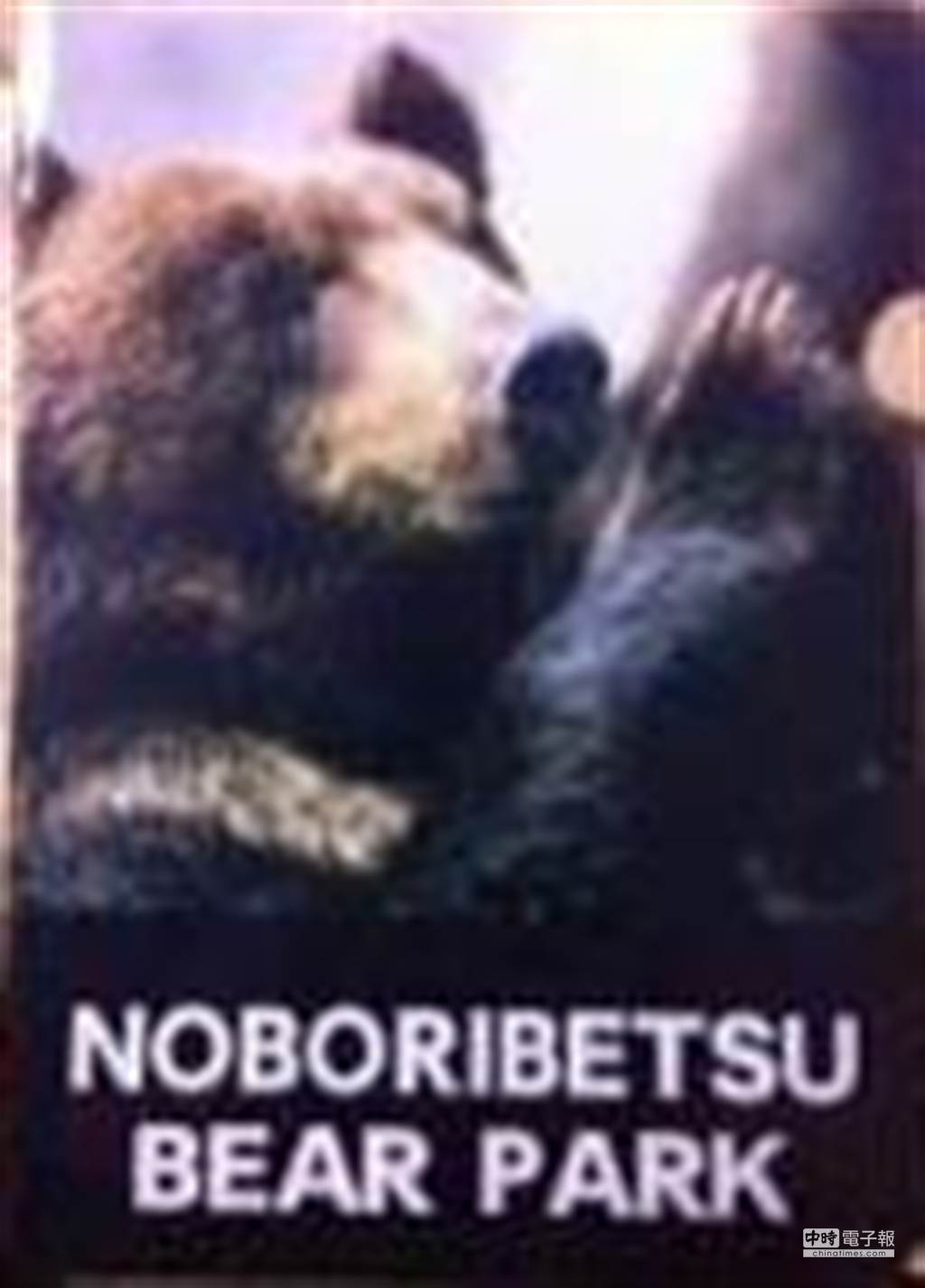北海道登別市的「登別熊牧場」賣的蝦夷綜熊文件夾大受泰國遊客的歡迎。