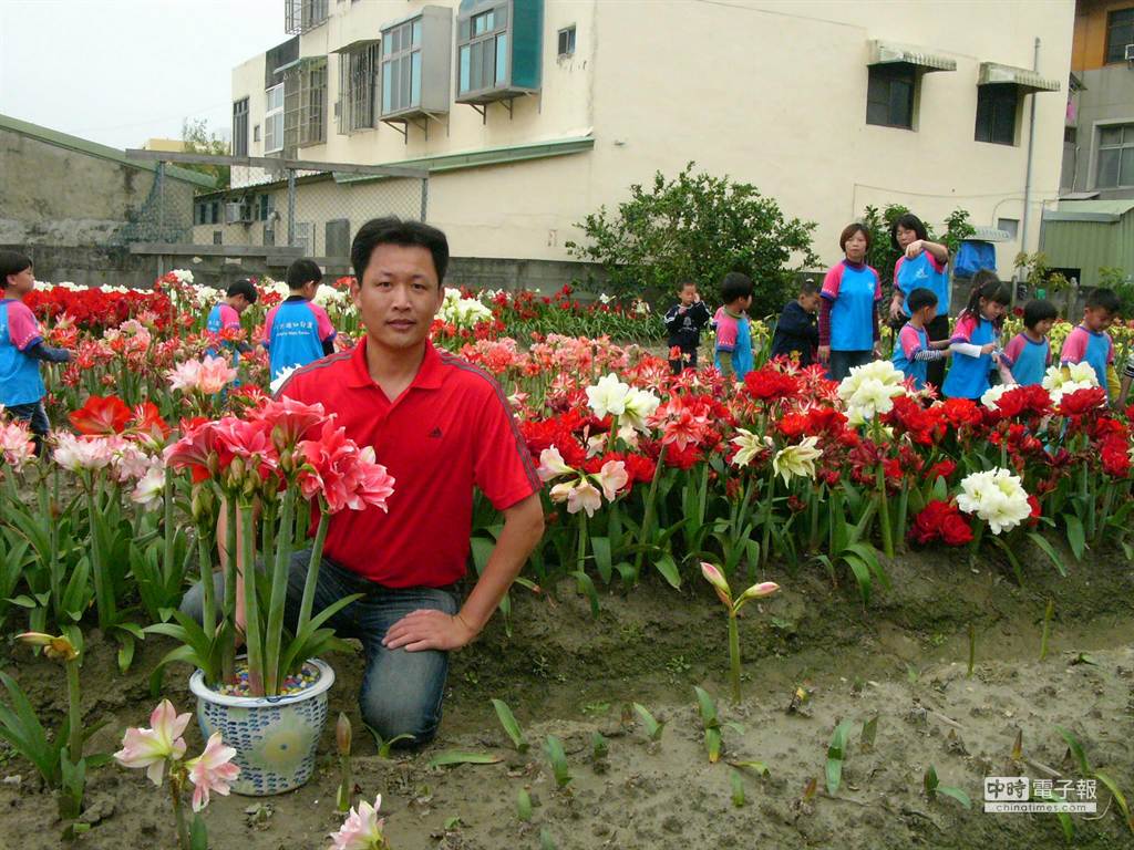 六輕員工種孤挺花只送不賣 生活 中時