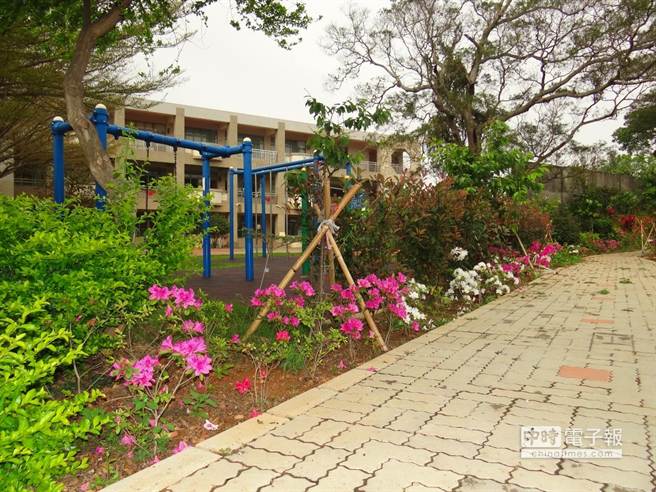 台中市大肚區瑞井國小校園內有條「哲學步道」，最近杜鵑花盛開，相當美麗。(林欣儀攝)