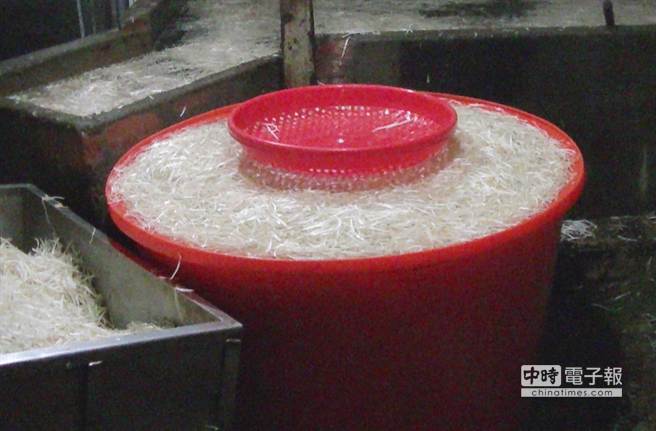 檢警會同衛生單位查獲業者以低亞硫酸鈉浸泡的豆芽菜。（陳慶居翻攝）