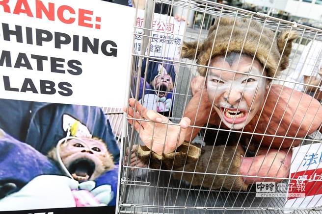 動保社學生自囚在籠中，抗議法航是全球唯一進行「殘酷運猴」業務。（陳振堂攝）