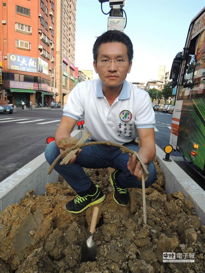 北市籌辦2016世界設計之都，在和平西路打造林蔭大道，台北市議員童仲彥發現，用來植樹的土壤竟夾雜建築廢土，根本是置樹木於死地。（市議員童仲彥提供）