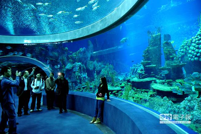 沒有讚岐烏龍麵水族館可能蓋不成 國際 集團連線報導