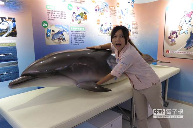 海洋公園鯨豚生態教室揭牌寓教於樂 生活 中時