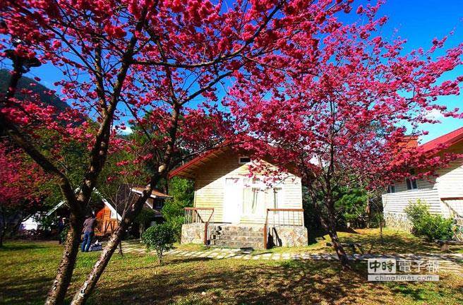 惠蓀林場規劃有賞鳥區、賞楓區、賞櫻區、賞螢區，可享受森林浴、健行、賞鳥、賞花等樂趣。（圖片摘自觀光局網站