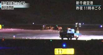 7隻鹿硬闖北海道一機場 33航班延誤