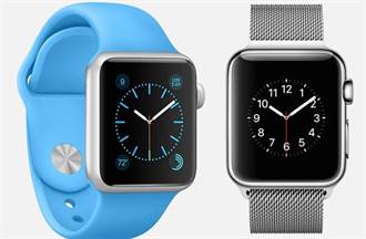 Apple Watch總共38種 到底怎麼選？