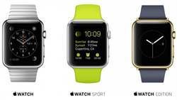 有好康 蘋果員購Apple Watch只要半價