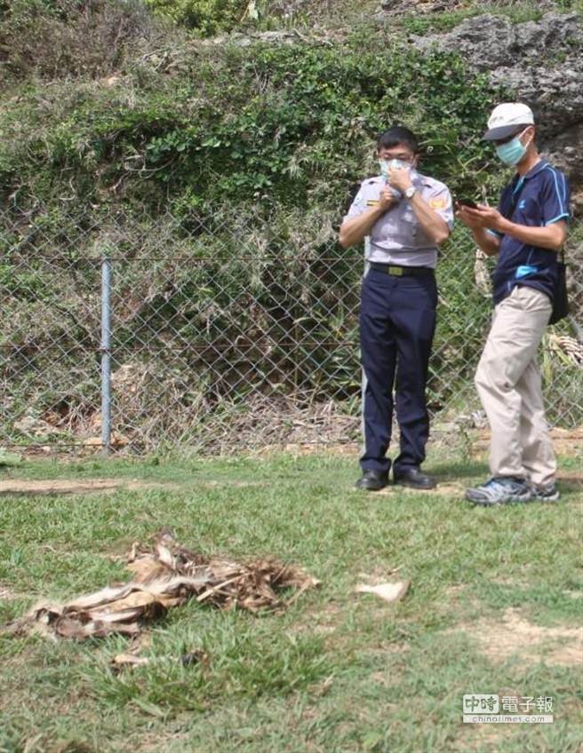 墾管處人員到籠仔埔草原瞭解梅花鹿屍體狀況。（許智鈞攝）