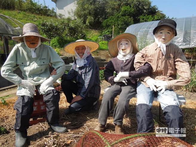 日農婦巧製逼真稻草人嚇退烏鴉 國際 中時