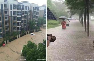 暴雨襲南京 1小時倒下54個玄武湖