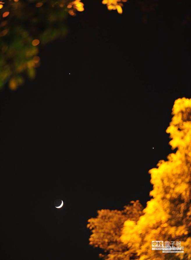 端午節晚間，眉月剛好移至金星與木星的下方，形成「雙星拱月」的天文景象。（劉宗龍攝）