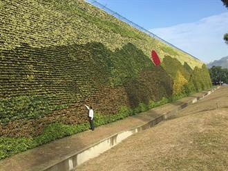 世界最大垂直花園! 綠化牆破金氏世界紀錄