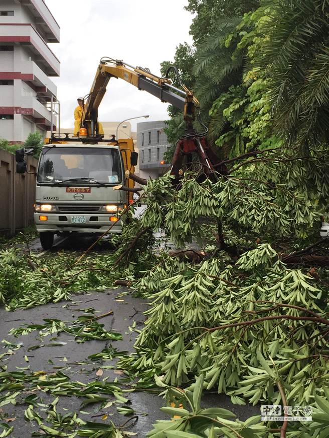蘇迪勒颱風造成路樹倒伏，南投市清潔隊進行清運。（廖志晃攝）