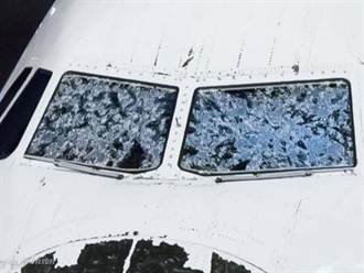如球冰雹毀機窗機鼻 達美客機迫降成功