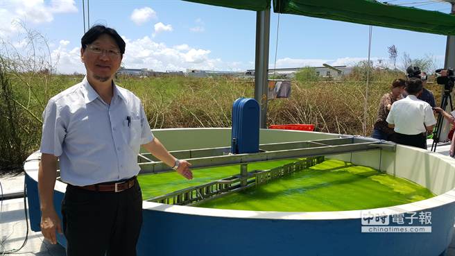 成功大學化學工程系特聘教授張嘉修研究團隊，在成大安南校區建置全球學術界規模最大的微藻養殖示範場，並與日韓合作。（湯雅雯攝）