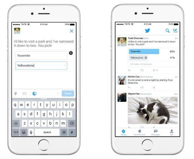 Twitter線上投票功能將提供用戶一個了解公眾意見的途徑。(業者提供)