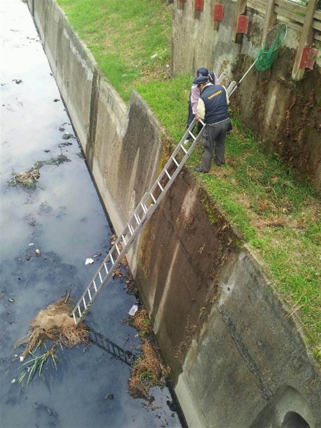 高市动保处成立犬猫救援队24小时轮班待命 生活 中时