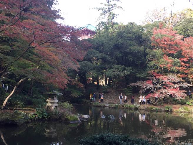 關東賞紅葉名景點成田山公園紅葉映池面 國際 中時