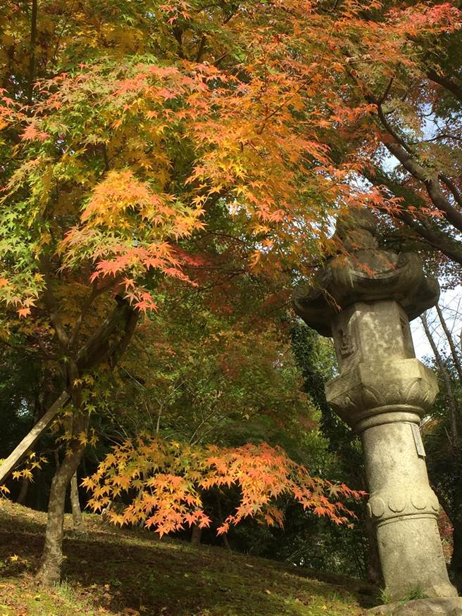 關東賞紅葉名景點成田山公園紅葉映池面 國際 中時