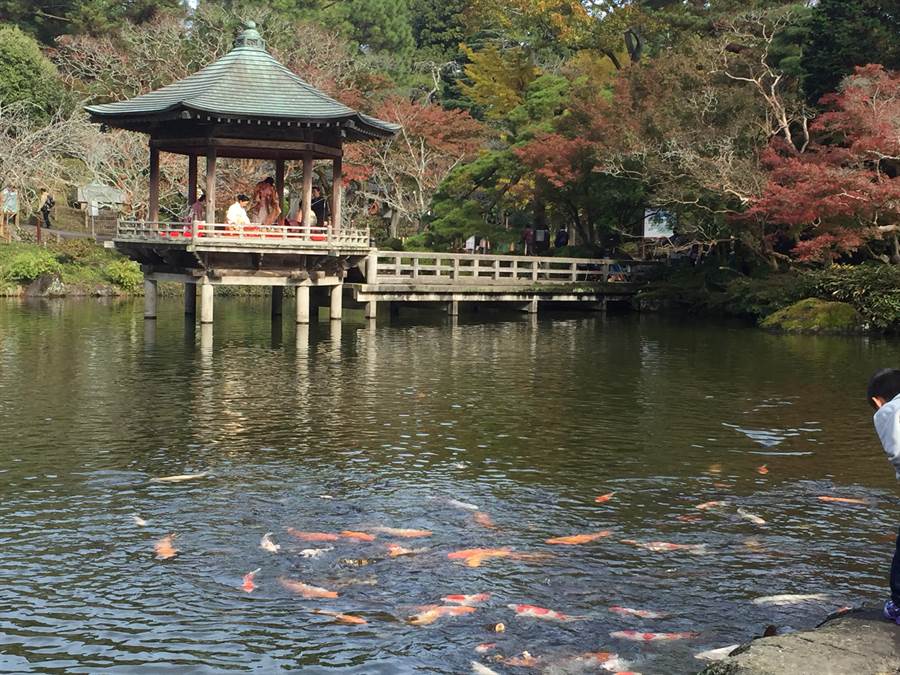 關東賞紅葉名景點成田山公園紅葉映池面 國際 中時