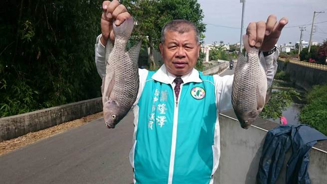 比手腕大的吳郭魚暴斃，市議員蕭隆澤懷疑禍首是潭子加工出口區的不肖廠商。（王文吉攝）