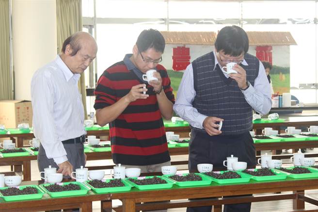 農委會茶業改良場專家，就茶的色、香、味以及原料等項目評比。（黎薇攝）