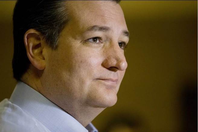 共和黨總統參選人庫斯行情大漲，頗有與川普並駕齊驅之勢。(美聯社)