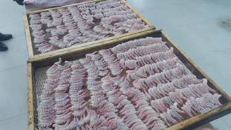 南市農業局推青山漁港一日遊 來吃蚵嗲、火燒蝦