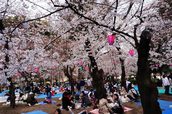 讓台中花博更精彩 林佳龍取經日本花卉管理經驗 政治 中時