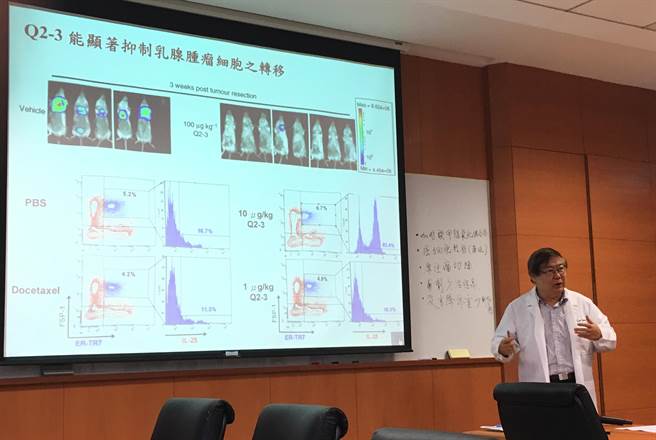 特聘研究員楊寧蓀表示，藉由蔬菜、中藥等植物萃取物，成功合成衍生物Q2-3，發現有減緩乳癌細胞移轉的效果。(吳泓勳攝)