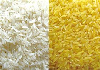 基改糧食：黃金米的榮耀與無奈