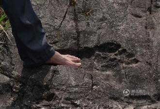 貴州發現神秘大腳印 長度逾一般人兩倍