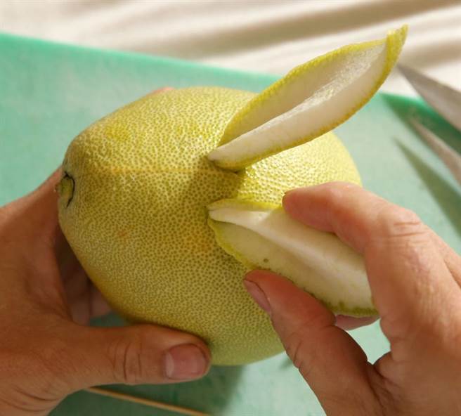 簡單九步驟雕兔子之5.將上述切下的柚子皮凹折後塞進上述的三角形小洞中做成耳朵。（王英豪攝）