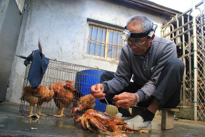 台灣閹雞文化面臨失傳的困境。（教育部提供）