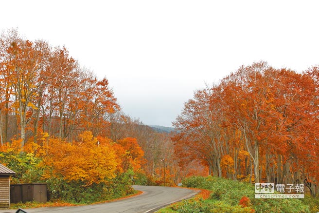 秋賞楓冬看雪樂遊美麗青森 旺來報 中國時報