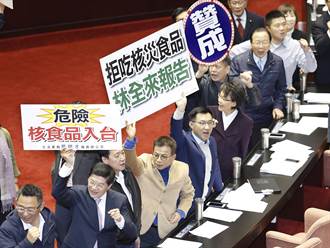 行政院：暫緩核食進口  開放沒有時間表