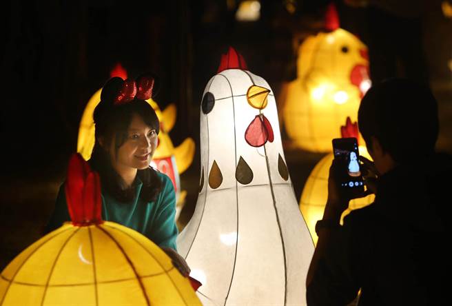 高雄橋畔河西路設置許多母雞帶小雞的「百雞爭鳴」花燈，吸引1對男女在花燈旁拍照留念。（王錦河攝）
