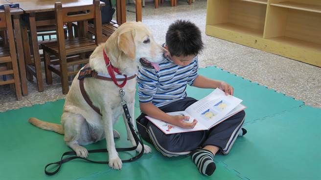 大村國小五年級「小昇」首次參加伴讀，有語言和學習障礙的他，竟能一口氣把繪本讀完給一旁的「艾咪」聽，既專注又順暢，讓老師們好感動。（謝瓊雲攝）