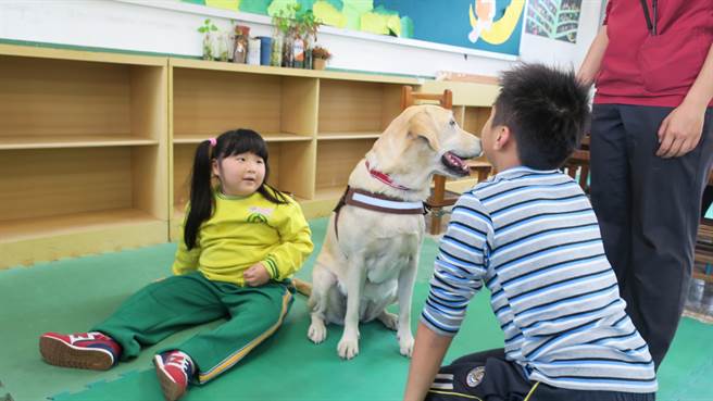 動物防疫所訓練師紀名珊將流浪犬「艾咪」訓練成陪伴犬，每周五到大村國小為特殊孩子們提供閱讀陪伴服務，學童反應熱烈。（謝瓊雲攝）