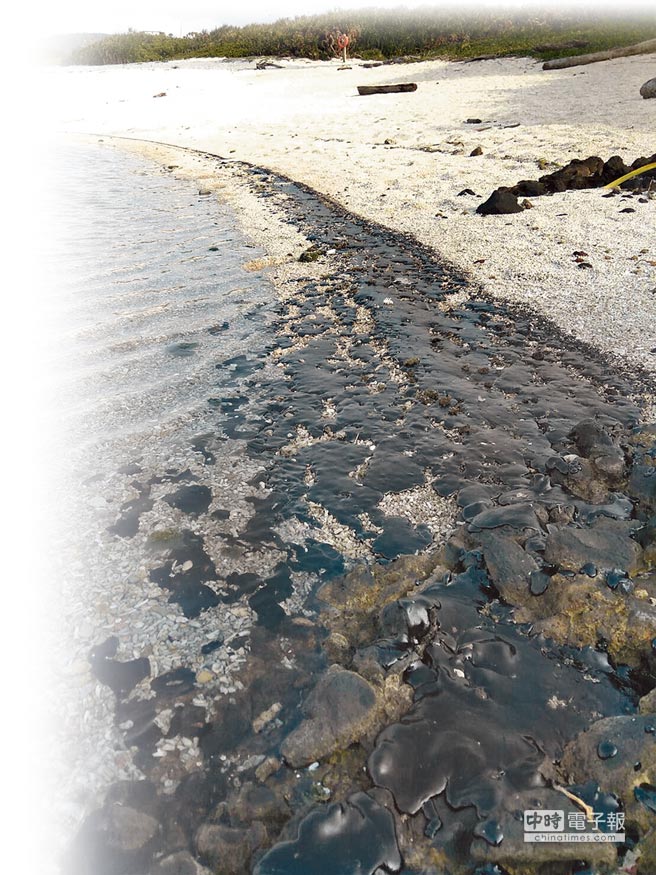 重創生態綠島海岸線遭重油汙染。(侯政廉提供）