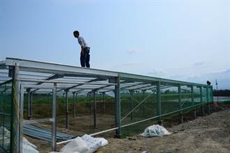 閒置魚塭搭太陽能板發電 賺綠能錢