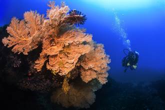 小琉球最迷人景點 原來藏在海底