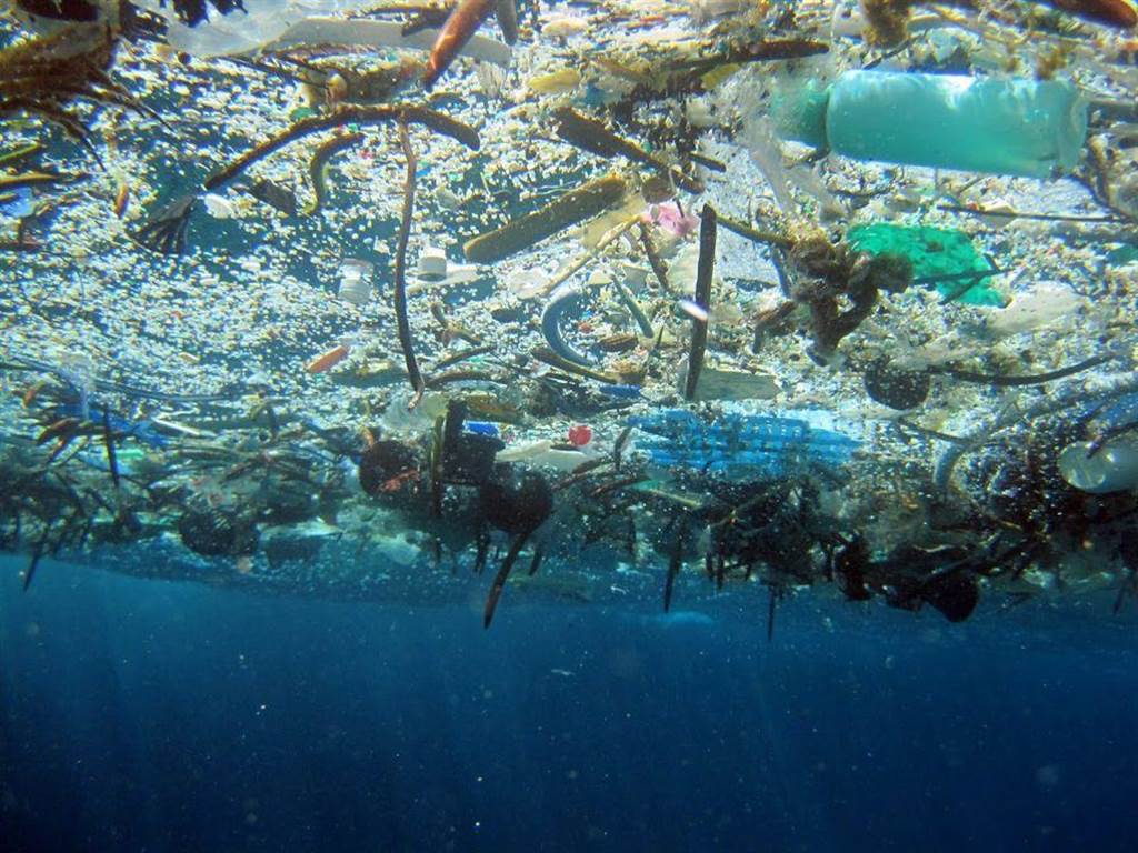 垃圾造成的海洋汙染非常嚴重。(圖/海洋基金會)