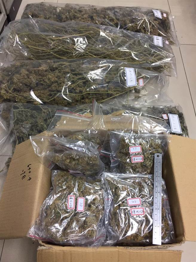 宮廟正對面種大麻疑將販毒牟利轉投餐飲 社會 中時