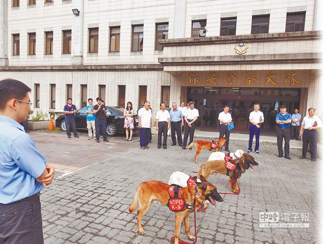 台中市警察局首度成立警犬队，把治安警犬投入大型活动参与巡逻与执勤工作。（张妍溱翻摄）